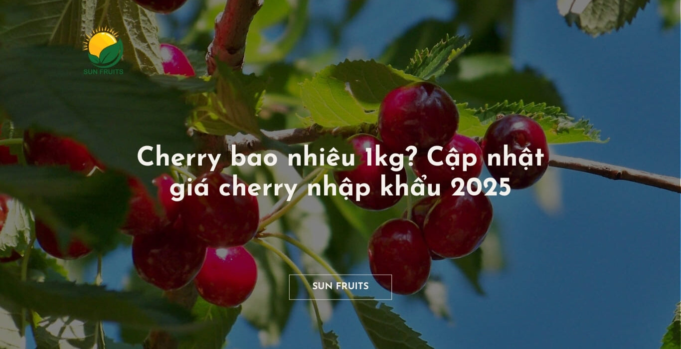 Cherry bao nhiêu 1kg? Cập nhật giá cherry nhập khẩu 2025