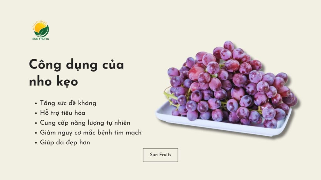 Công dụng của nho kẹo