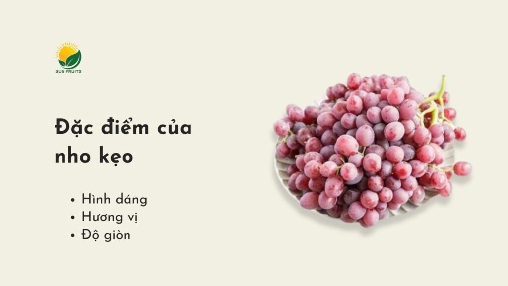 Đặc điểm của nho kẹo