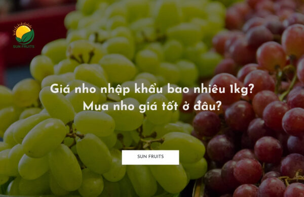 Giá nho nhập khẩu bao nhiêu 1kg? Mua nho giá tốt ở đâu?