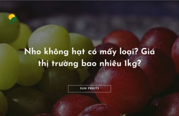 Nho không hạt có mấy loại? Giá thị trường bao nhiêu 1kg?